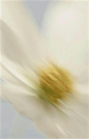 the colour of scent, a perfume workshop | Espace Together