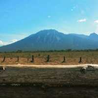 BALURAN NATIONAL PARK, BANYUWANGI