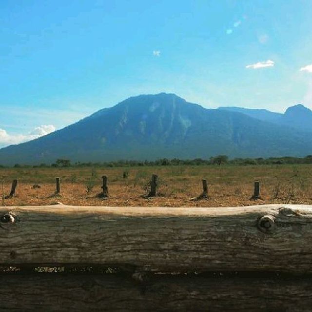 BALURAN NATIONAL PARK, BANYUWANGI