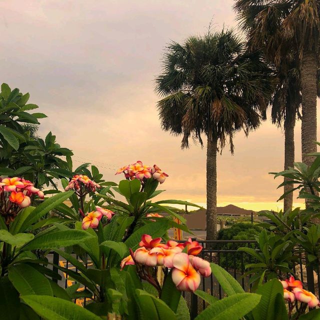 South Texas Botanical Gardens & Nature Center