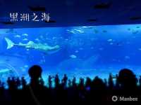 回顧沖繩遊