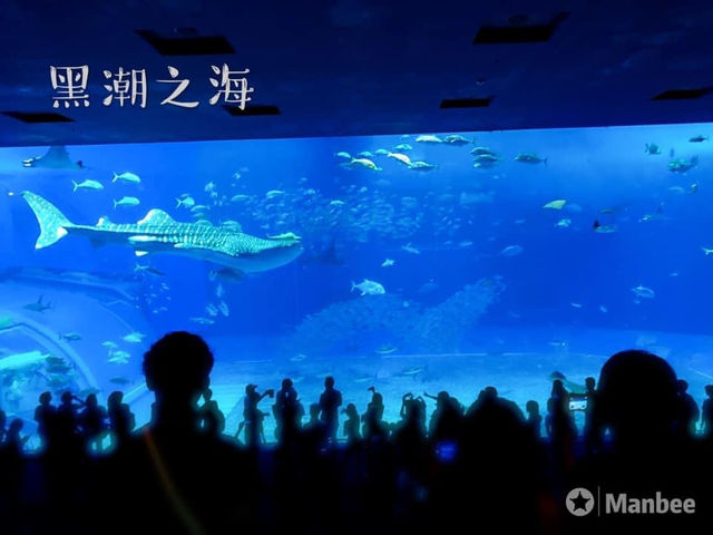 回顧沖繩遊