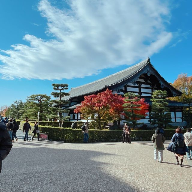 【紅葉巡り】京都ー東福寺