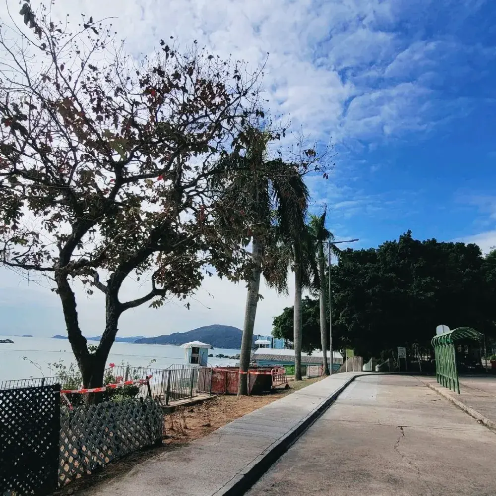 郊外好去處 ~ 大嶼山長沙泳灘