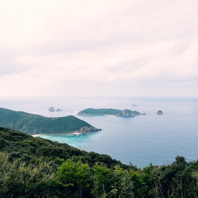 【鹿児島】のんびりとした時間が流れる加計呂麻島