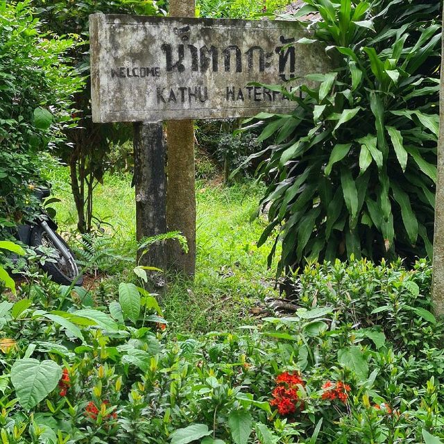 เดินชมศึกษาธรรมชาติ บรรยากาศร่มรื่นป่าเขา