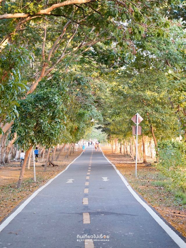 🏃🏻🚴🏻‍♀️ บึงหนองบอน กรุงเทพฯ
