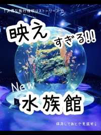 【兵庫】映えすぎる最新水族館『atoa』潜入レポ