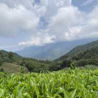 God’s own land