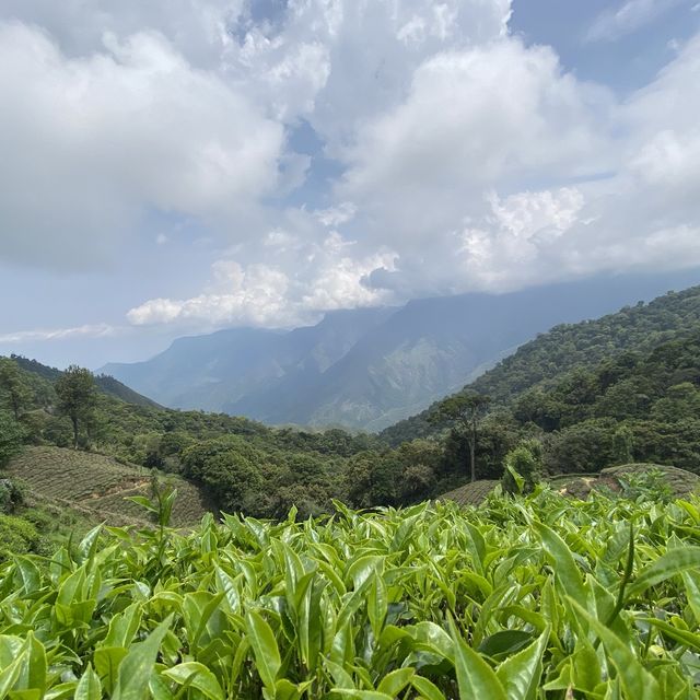 God’s own land