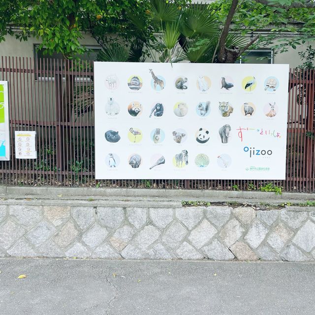 【神戸】神戸の動物園といえばここ❣️神戸市立王子動物園🐼