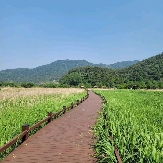순천여행 순천만자연생태공원 