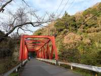 東京賞楓🍁好去處｜栗又之滝
