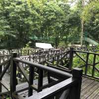 Tabin Wildlife Resort