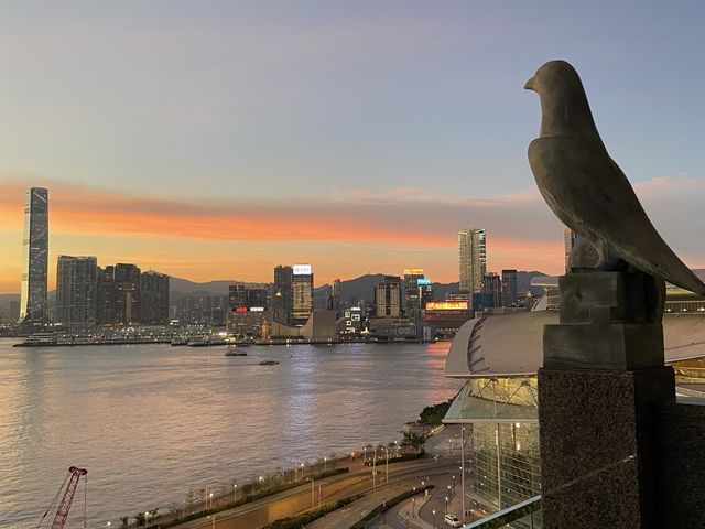 Grand Hyatt 海景露台及日式大浴池靜沁房間