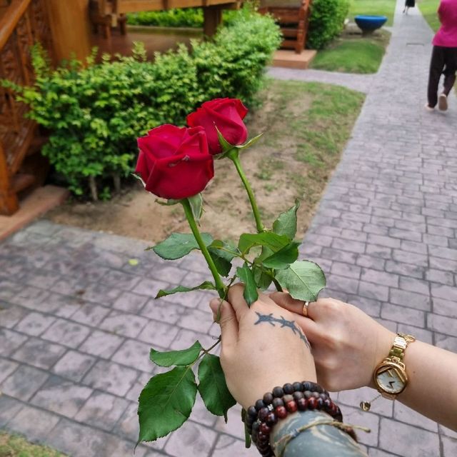 파타야 촌부리 한국어 가능 고급스파 ❤️‍🔥그레이스 스파❤️‍🔥