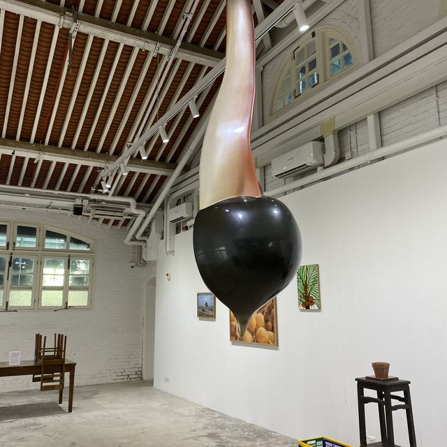 土沉香樹展覽 🌳 