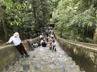 A day well spent at Perfume Pagoda