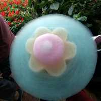 Have you tasted the lavender ice cream?