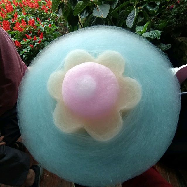 Have you tasted the lavender ice cream?