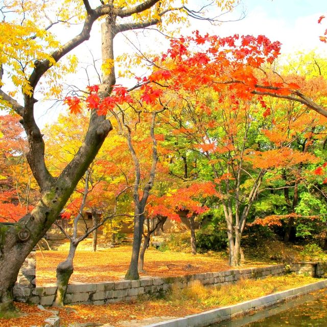 Autumn @Gyeongbokgung Palace 