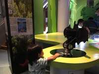 Discover the Mistery of Science at HK Science Museum