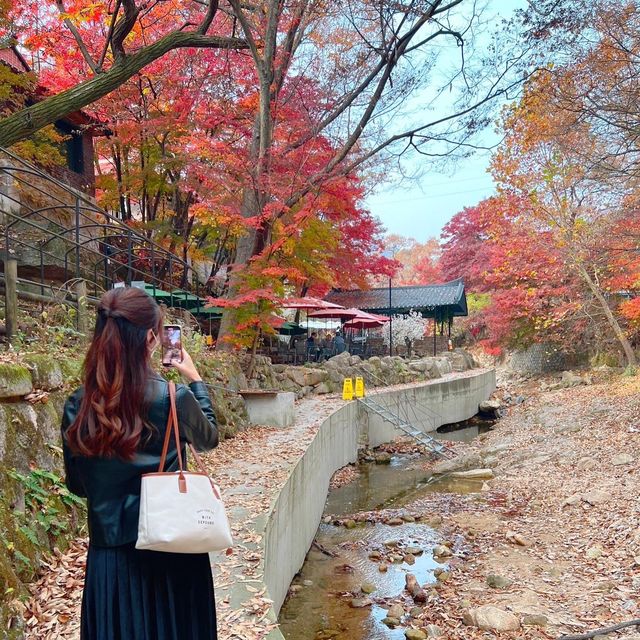 韓国/ソウル【牛耳洞】紅葉がとても綺麗に見える大型カフェ🍁💛