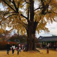 Jeonju Hyanggyo, Confucian school
