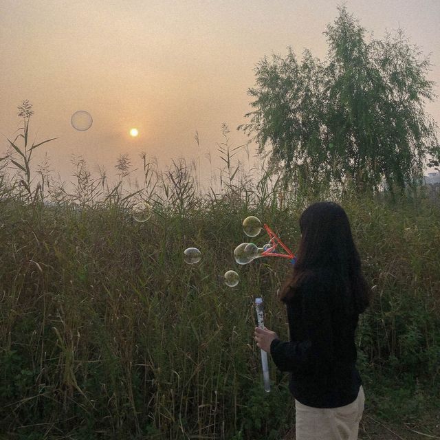인천 청라 피그닉 ‘연희자연마당’