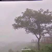 ทะเลหมอกในวัดเรืองแสง อุบลราชธานี
