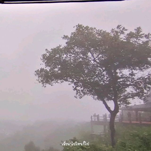 ทะเลหมอกในวัดเรืองแสง อุบลราชธานี