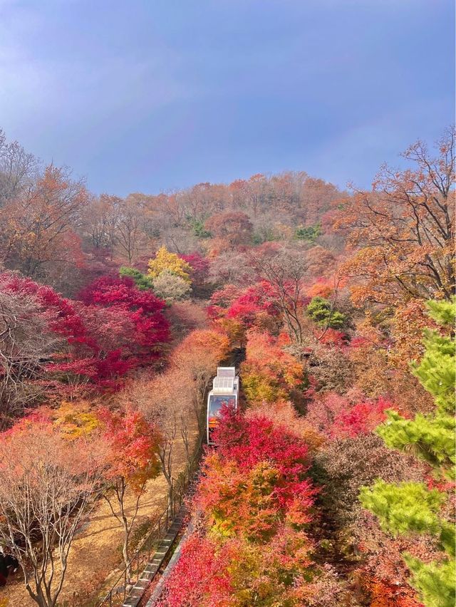 단풍여행에서 꼭 가야할 화담숲✨