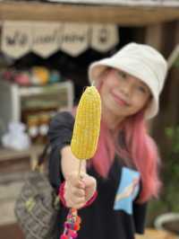 ทริป เชียงฮาย เชียงใจ๋ 