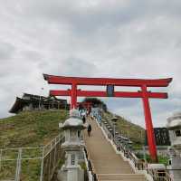 【蕪島】青森　ウミネコと神社⛩