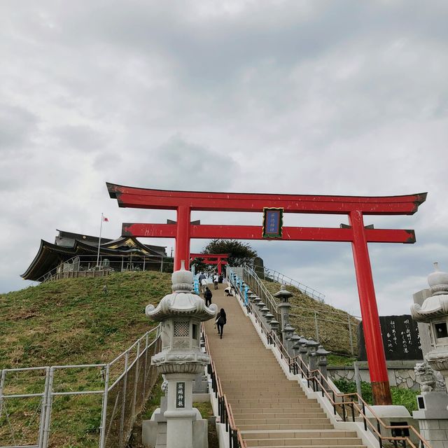 【蕪島】青森　ウミネコと神社⛩