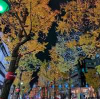 【大阪 難波】光の饗宴✨御堂筋のイルミネーション