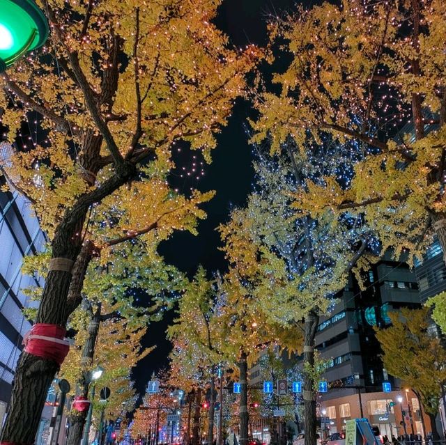【大阪 難波】光の饗宴✨御堂筋のイルミネーション