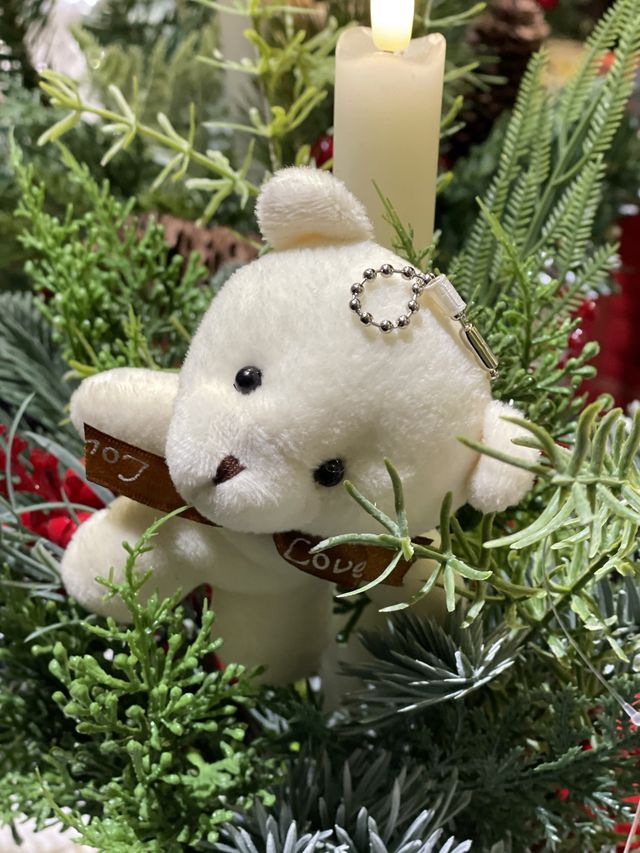 [송현아] 크리스마스 느낌 물씬 풍기는🎄❤️