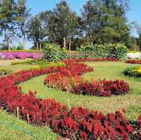 อุทยานธารงาม-ภูฝอยลม