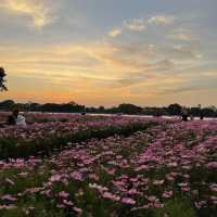 Suan Luang Rama IX Park