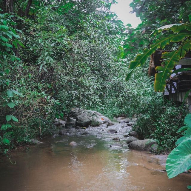 🏠บ้านธารกล่อม นอนริมธาร ฟังเสียงกล่อมจากป่าเขา 🌳