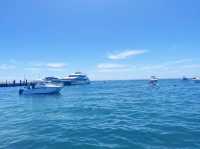 Rottnest Island!😎 Beachin’ The Beach!🤪