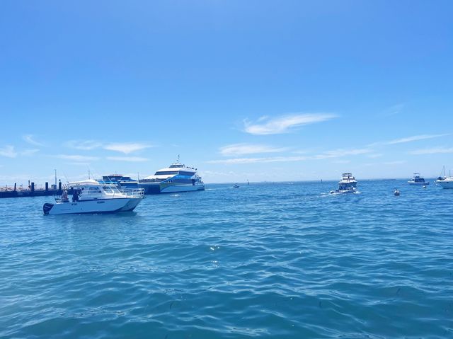 Rottnest Island!😎 Beachin’ The Beach!🤪