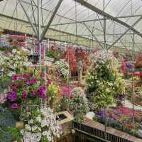 Cameron Highland Floral Park