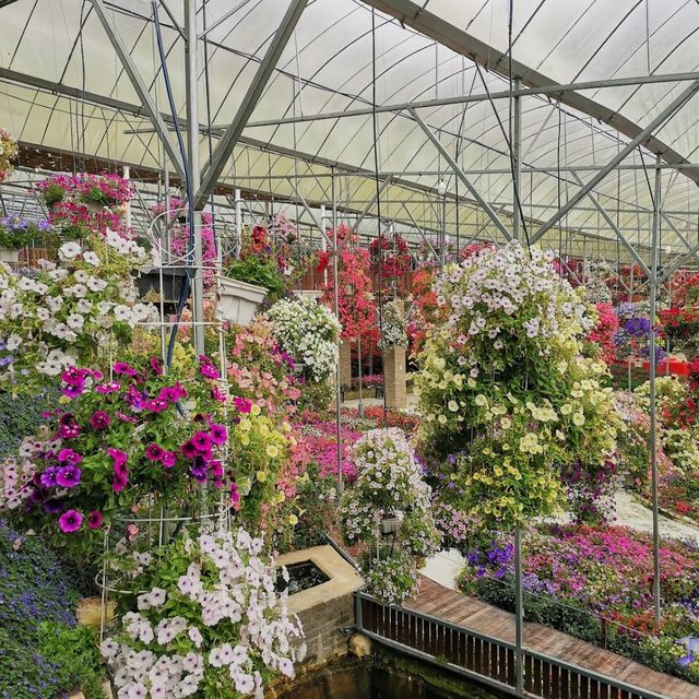 Cameron Highland Floral Park