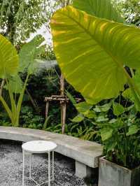 เพราะร่างกายต้องการพลัง 🌿🌿🌿