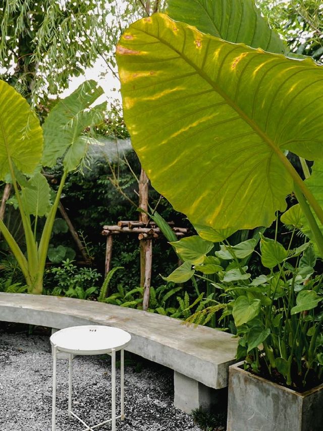เพราะร่างกายต้องการพลัง 🌿🌿🌿