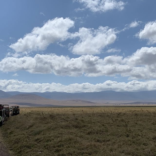 Wildlifes at their best, Ngorongoro