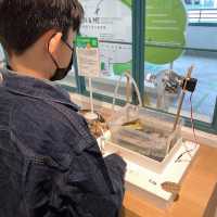 小學生創意展覽@PMQ