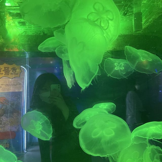 해운대에서 바다친구들과 즐기는 이색데이트